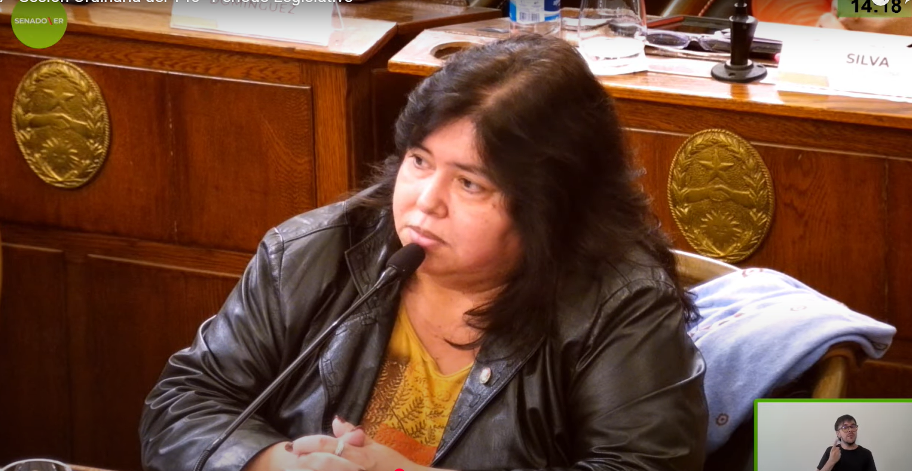 “Yo no me vendí a Frigerio”, dijo la senadora del PJ que se abstuvo de votar OSER